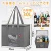 RVSNQ Eco Bag, Large Capacity, 9.8 gal (30 L), Foldable