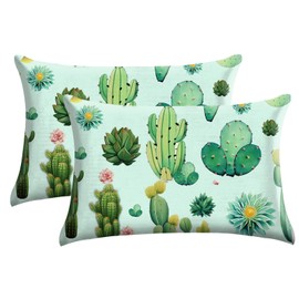 GABraden Microfiber Pillow Cases 2PCS,Floral Print Pattern Pillow Cover Set with Hidden Zipper,Lightweight and Breathable,Standard Size 20"X 26" Pillow case (16-Cactus)