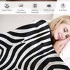 Home Soft Products Zebra Blanket Symmetrical Pattern Animal Hunting Style
