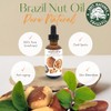 Best Nature's Cosmetics Aceite Virgen Orgánico de Nuez de Brasil