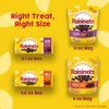 Raisinets, Milk Chocolate Covered California Raisins, Movie Theater Candy Box...