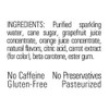 GuS Grown-Up Soda, Star Ruby Grapefruit, 12 Fl Oz (Pack