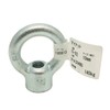AI Eye Nut 0.4 inch (10 mm) Lifting Connected Fixed