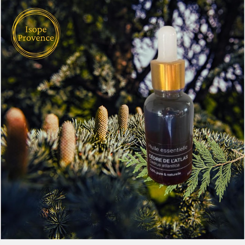 Huile Essentielle de l'Atlas Cèdre de l'Atlas 10 ml, 100%