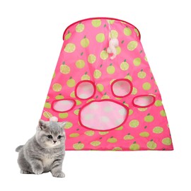 PawSailor Cat Tunnel Bag Kitty Collapsible Tunnel Toy Crinkle Sack Bag Pet Interactive Cat Cave Toy with 1 Little Mouse & 3 Toy Ball Rose Pink M