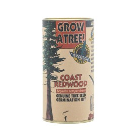 The Jonsteen Company Coast Redwood | Tree Seed Grow Kit | The Jonsteen Company