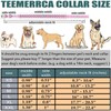 TEEMERRYCA Leather Dog Collar with Gold Spikes for Small Medium