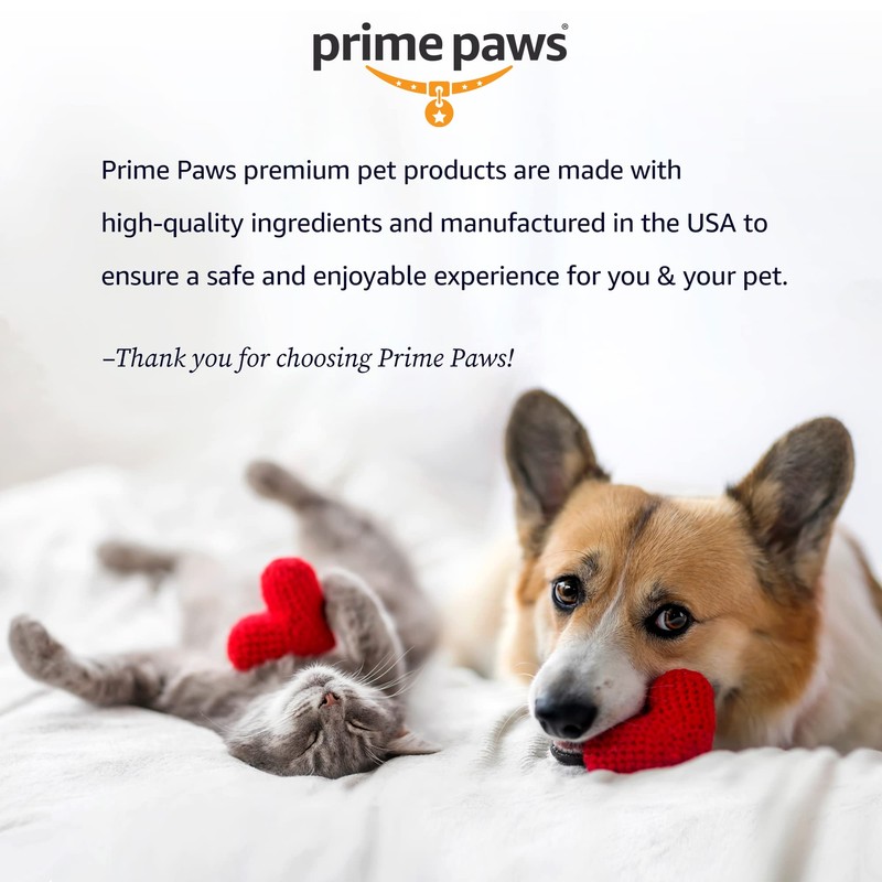 Ear Cleansing Solution for Dogs and Cats - Pet Ear