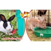 Metal Rabbit Chicken Water Cup Chicken Kettle DIY Rabbit Chicken