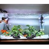 Vtapliea 4PCS Aquarium Plants Betta Fish Tank Decorations Small Size