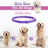 Dog Calming Pheromone Collar Set of 3,Relieves Anxiety,Keeps Dog Quiet,Foldable