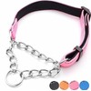 PUROAYET Martingale Dog Collar Wide 2.5CM(0.98inch) Reflective Nylon with Stainless