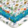 4 Pack Baby Boy Pack N Play Mini Crib Sheets
