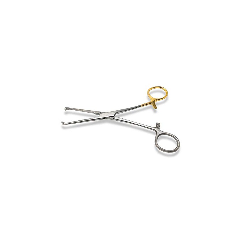 Gold Ring Allis Tissue Forceps with 4x5 Teeth, 6 in.