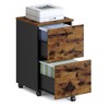 VASAGLE 2-Drawer File Cabinet, Small Rolling Filing Cabinet for Home