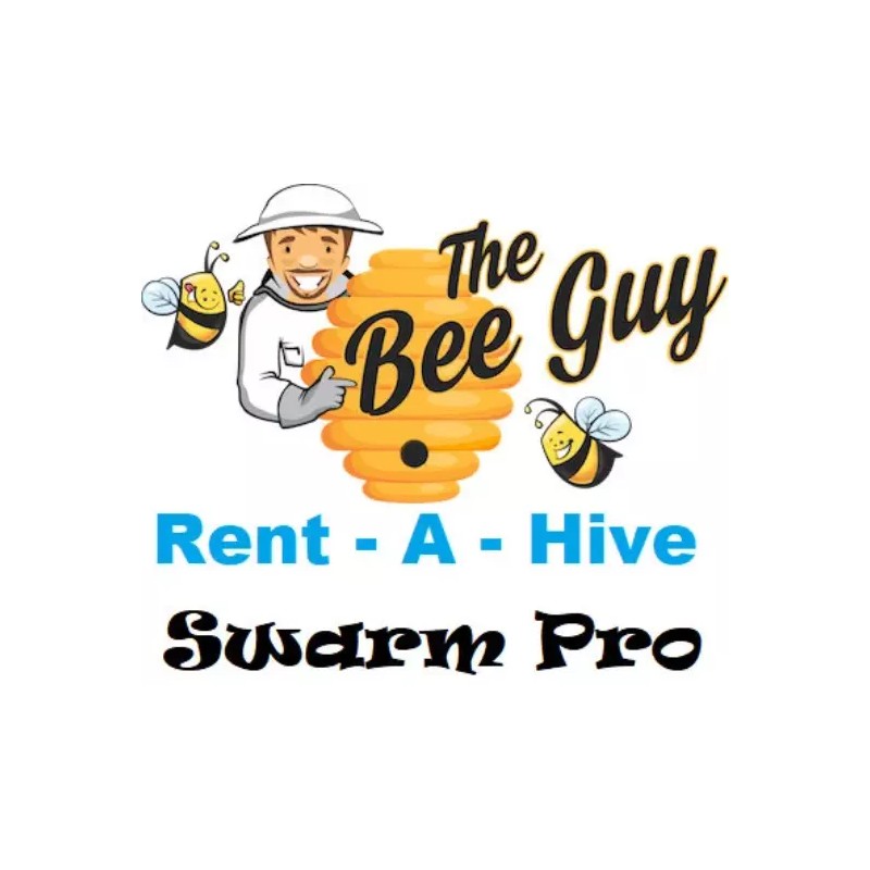 Rent A Hive Killer Bee HONEY The best HONEY ON