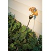 Rain Bird PATIOKIT Drip Irrigation Patio Watering Kit, Connects to