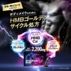 HMB サプリ ブースターライズ クレアチン タンパク質 アミノ酸 必須アミノ酸 シトルリン アルギニン 亜鉛