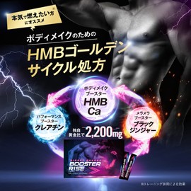 HMB サプリ ブースターライズ クレアチン タンパク質 アミノ酸 必須アミノ酸 シトルリン アルギニン 亜鉛 ビタミン ブラックジンジャー クラチャイダム 1箱30包入