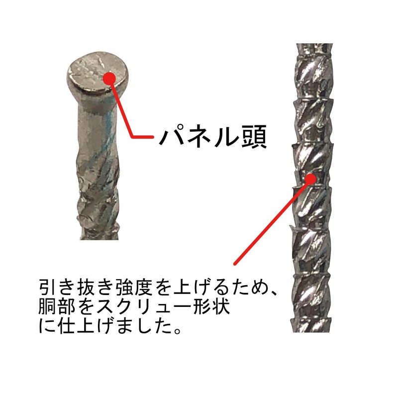 Daidohant 10179671 Stainless Steel Screw Nails, Panel (Diameter: d) 0.07