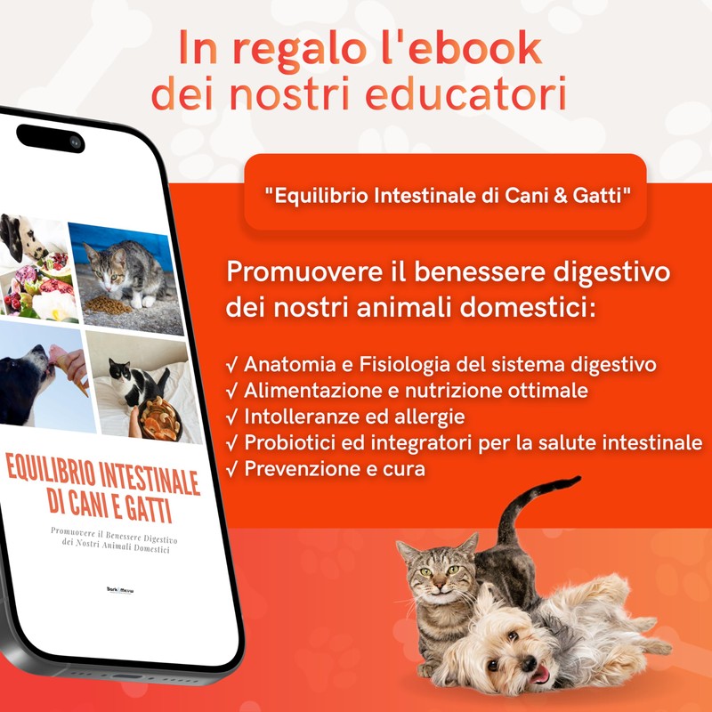 DiarBlock Rapid Antidiarroico ad azione immediata per cani e gatti.