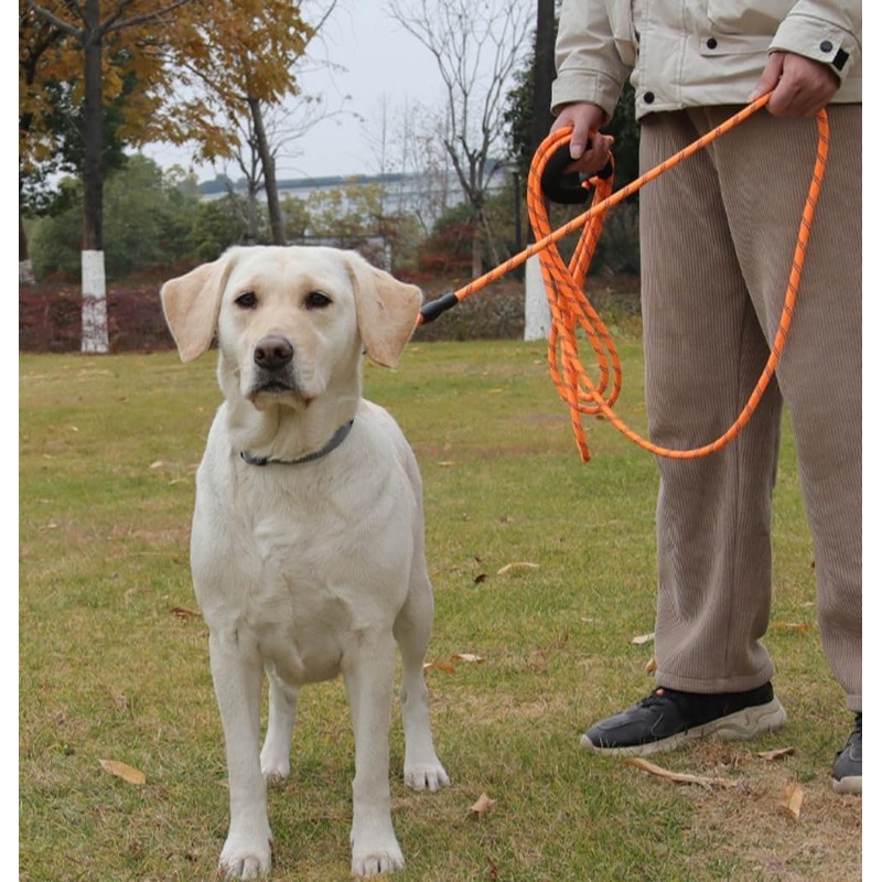 YYKSYDPT Long Leads 5m/10m/15m/20m,Suitable for Big and Medium Dogs,Tangle-Free Long