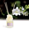 Aronica Mini Flower and Reed Diffuser 1.35oz/40 ml (Midnight Jasmine)