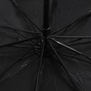 Folding Umbrella 10 Ribs Manual Opening Closing Dual Purpose UV