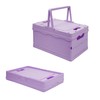 Tixill Small Collapsible Storage Crates, Foldable Plastic Baskets with Lids