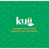 Kuii Coconut Milk Drink – Original Coconut Flavor, 12 Count
