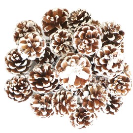 25pcs Natural Christmas Pine Cones - Rustic Snow Pinecones with Strings, Hanging Ornaments for Xmas Tree, Gift Tags, and Winter Holiday Party Decorations (1.6-2 inches)