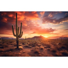 Desert Reptile Tank Background Sunset Desert Terrarium Background Saguaro Cacti Silhouetted Sunset Sky Rugged Terrain Vibrant Desert Colors Jungle Landscape Reptile Enclosure Backgrounds 24x16in