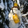 FASports Dry Bag Waterproof with Shoulder Strap, 5L Duffel Bag,
