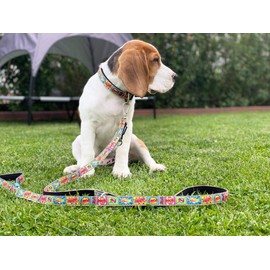 Max Molly Multifunctional Dog Lead, Padded, Reflective, Pink, Length: 200 cm, Size: XS-L
