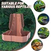 Reptile Feeder Bowls with Climbing Ladder for Chameleon,Bearded Dragon,Guardians Hunting