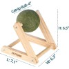 CA&T Giant Catnip Ball with Wood Stand - Interactive Cat