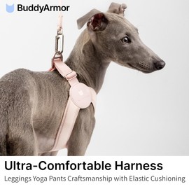 BuddyArmor Ultra Comfortable Dog Harness Adjustable Soft Dog Vest, Alloy Buckle Closure Lightweight Stretchy Puppy Harness Step in for Small Sized Dogs Walking Training (Linen, L 18.9-20.8")