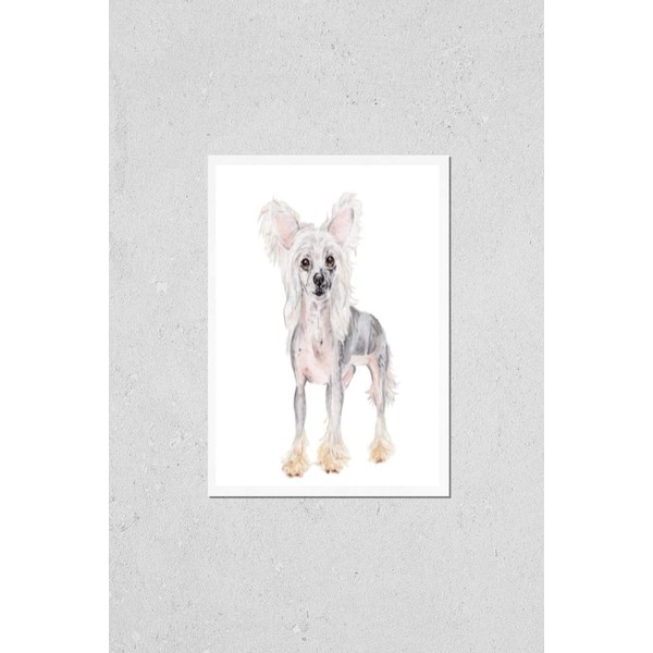 HardPress Wall Art Poster Print of Watercolor Hand Draw Illustration