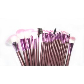 Science Purchase- 22 Piece Makeup Brush Set PINK