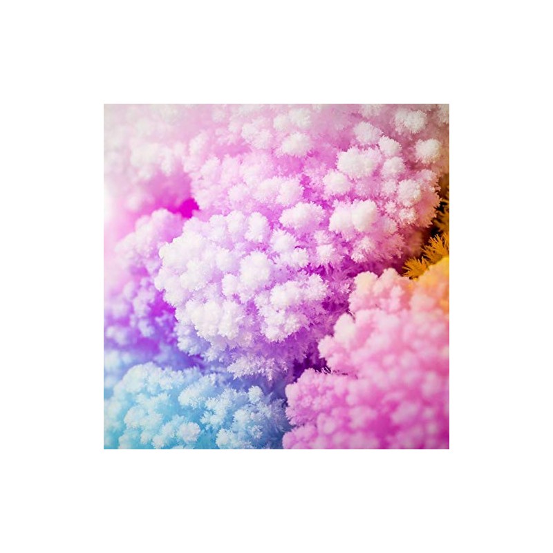 2 x Magic Growing Tree