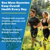 Sea Moss Gummies, 3100mg Irish True Sea Moss Seamoss Gummies