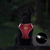 Aiminto Denim Dog Harness & Leash Set, Breathable Mesh, Lightweight,