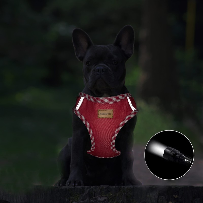 Aiminto Denim Dog Harness & Leash Set, Breathable Mesh, Lightweight,