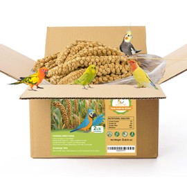 MEILLEURE 2LB Spray Millet for Parakeet Food - All Natural Millet Grain of Parrot Food - Non-GMG Sun-Dried Bird Treats for Cockatiel, Finch, Budgie, Hamster, Bird Food Bulk