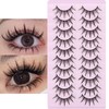 DSLONG 10 Pairs Manga Lashes Wet Look Lashes Effect Cat