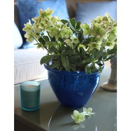 The HC Companies 12 Inch Pizzazz Decorative Round Planter - Lightweight Premium Resin Plant Pot with a Ceramic Look for Indoor Outdoor Use, Admiral Blue