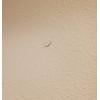 Drywall Texture Patch (Knockdown Texture) Blue