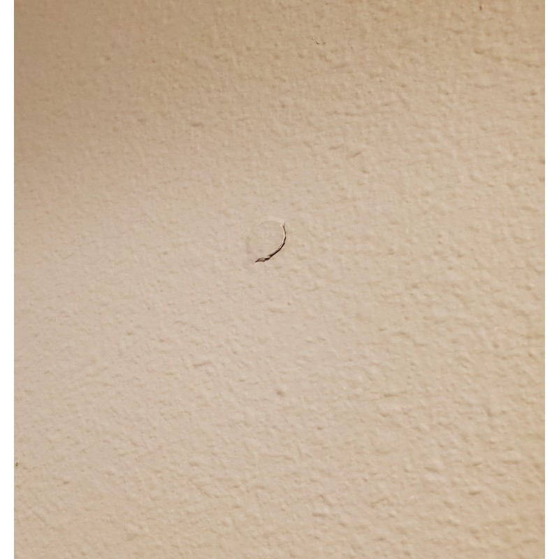 Drywall Texture Patch (Knockdown Texture) Blue