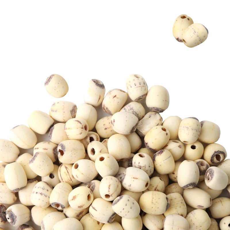 동의한재 껍질깐 연자육 연꽃씨, 500g, 1개 Peeled Lotus Seeds, 500g,