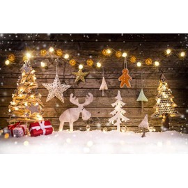 Haosphoto 5X3FT Christmas Backdrop Xmas Decoration Tree Reindeer Bokeh Lights Backdrops for Photography Wood Floor Happy New Year Vinyl Photo Background Kids Holiday Studio Props CA453